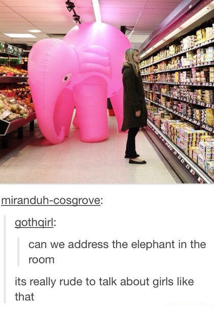 pink elephant in the room meme - 0 Ddd Dd miranduhcosgrove gothqirl can we address the elephant in the room its really rude to talk about girls that