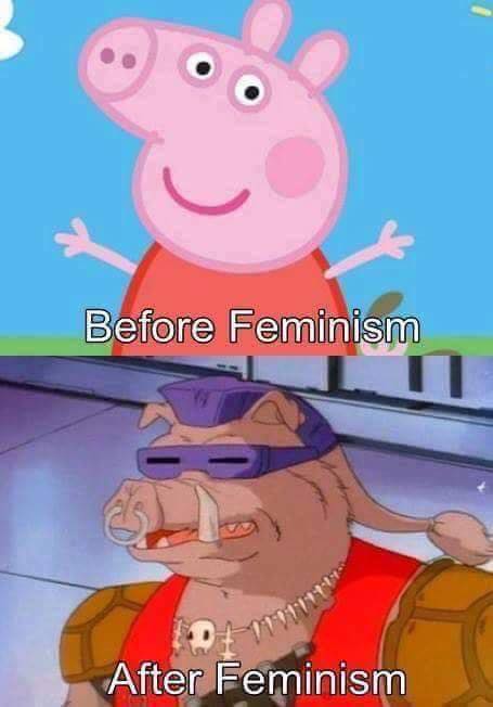 funny peppa pig memes - Before Feminism After Feminism