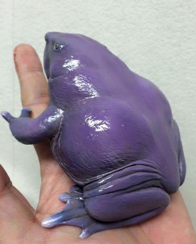 purple frog india