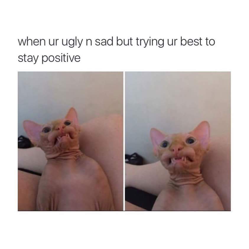 you re ugly and sad meme - when ur ugly n sad but trying ur best to stay positive