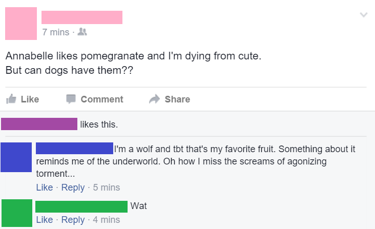 wolf cringe guy - 7 mins & Annabelle pomegranate and I'm dying from cute. But can dogs have them?? Comment this. I'm a wolf and tbt that's my favorite fruit. Something about it reminds me of the underworld. Oh how I miss the screams of agonizing torment..