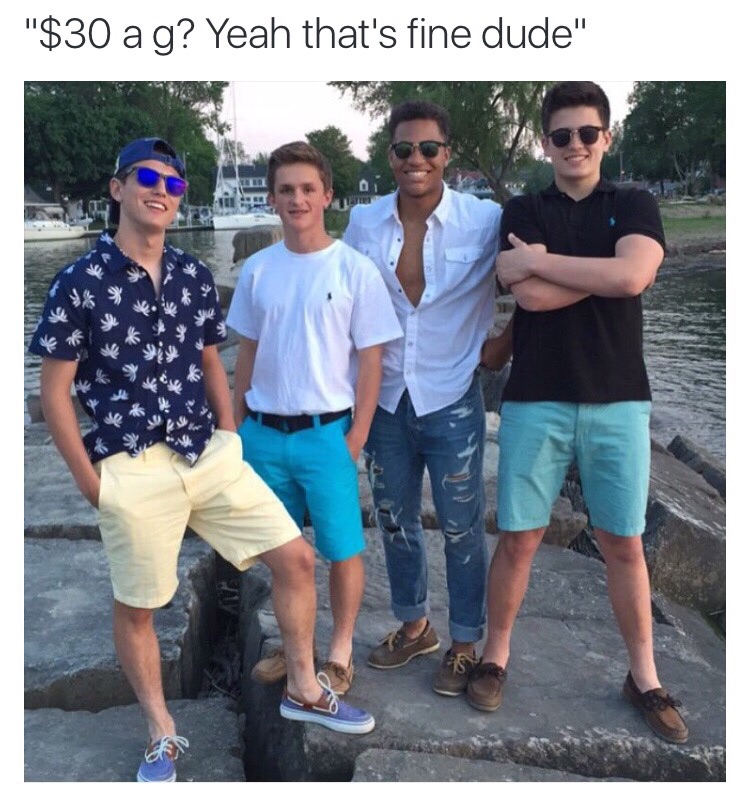 memes - 30 a gram meme - "$30 a g? Yeah that's fine dude"