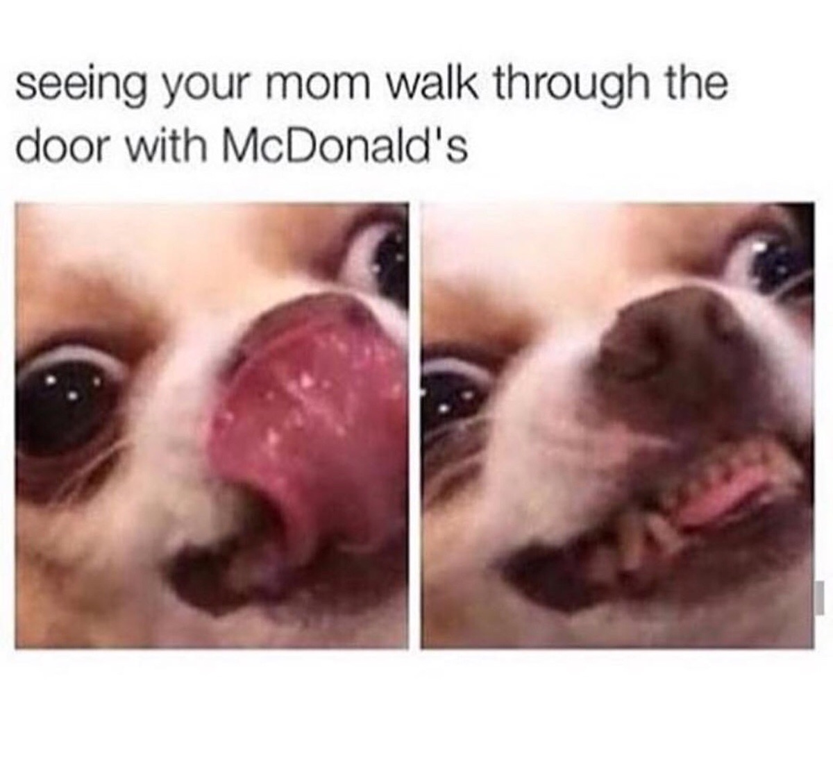 memes - hispanic thanksgiving meme - seeing your mom walk through the door with McDonald's