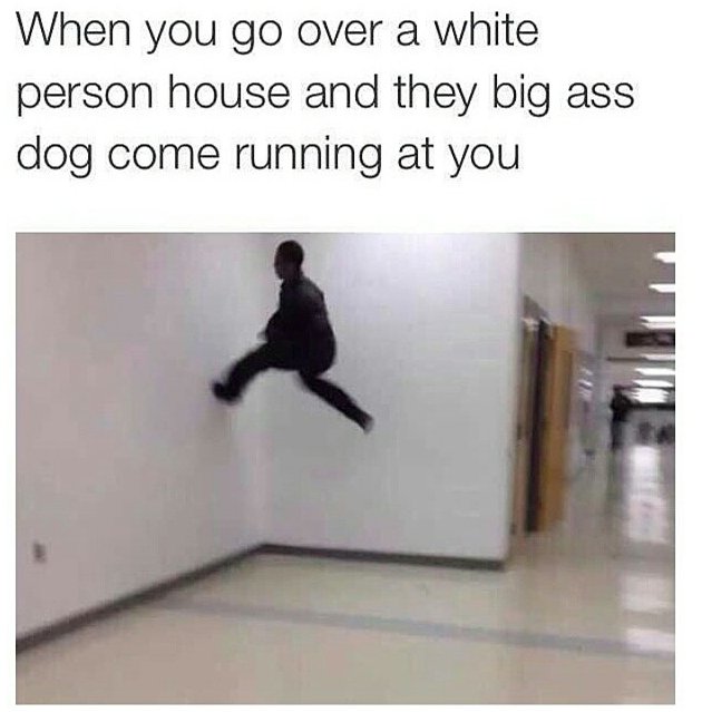 memes - floor is meme - When you go over a white person house and they big ass dog come running at you