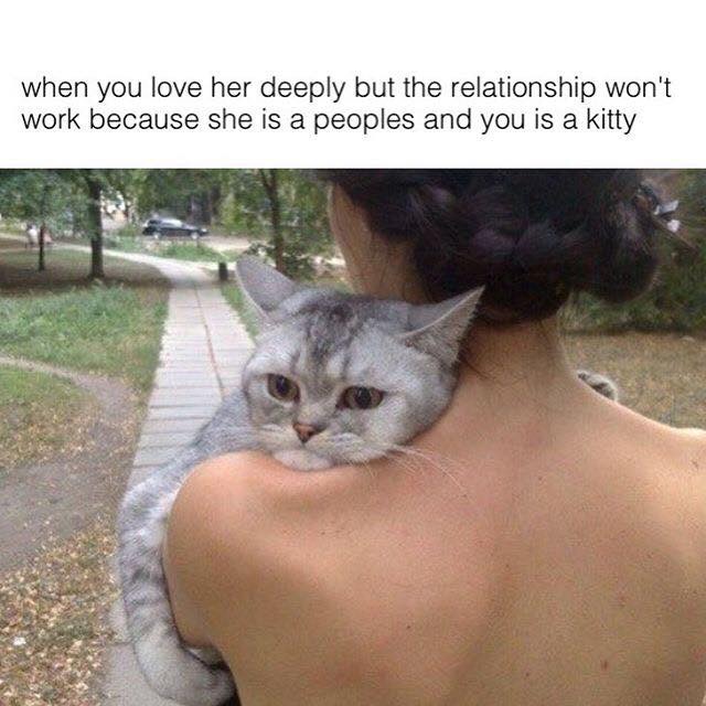 you love her but you - when you love her deeply but the relationship won't work because she is a peoples and you is a kitty