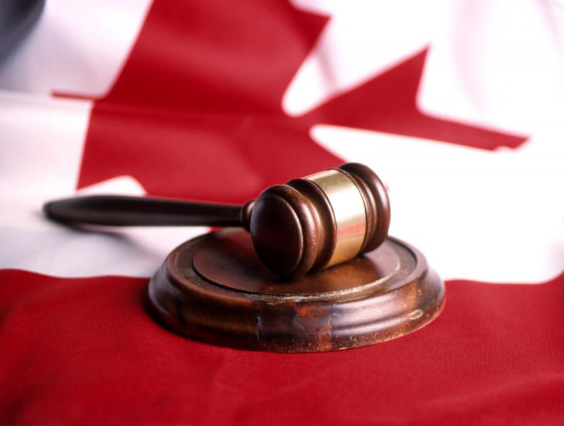 Canada has been sued more times through free-trade provisions than 

any other developed country, mainly by the US and Mexico for 

implementing environmental legislation.