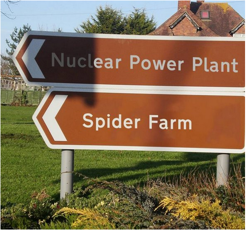 could go wrong - 'Nuclear Power Plant Spider Farm