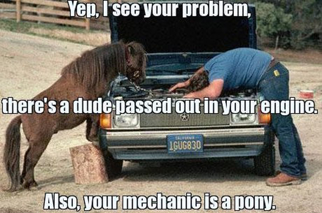 funny horses - Yep, I see your problem, there's a dude passed out in your engine. IGUG830 Also, your mechanic is a pony.