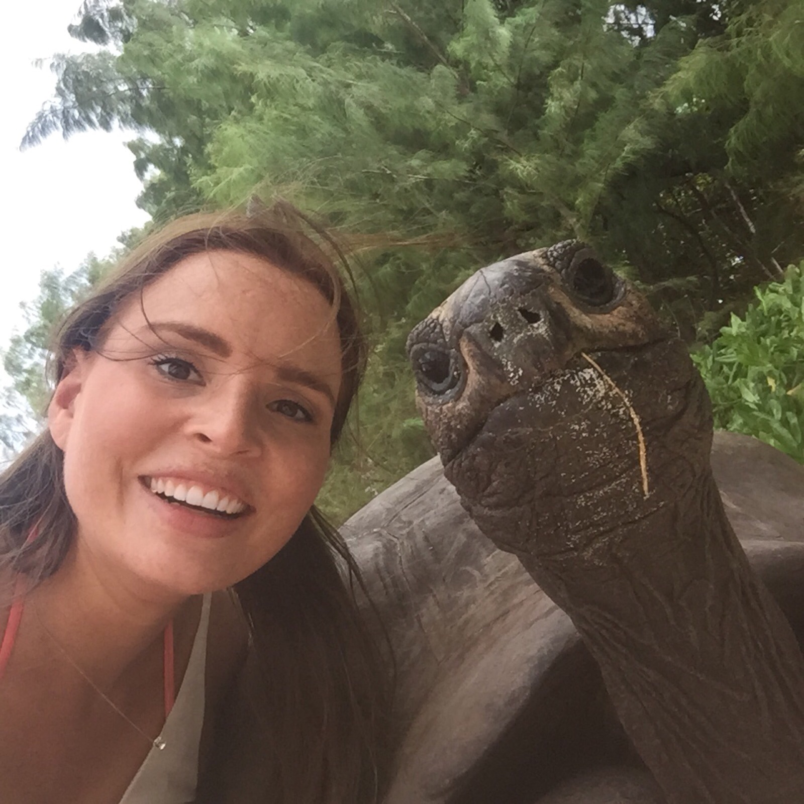 selfie with turtle