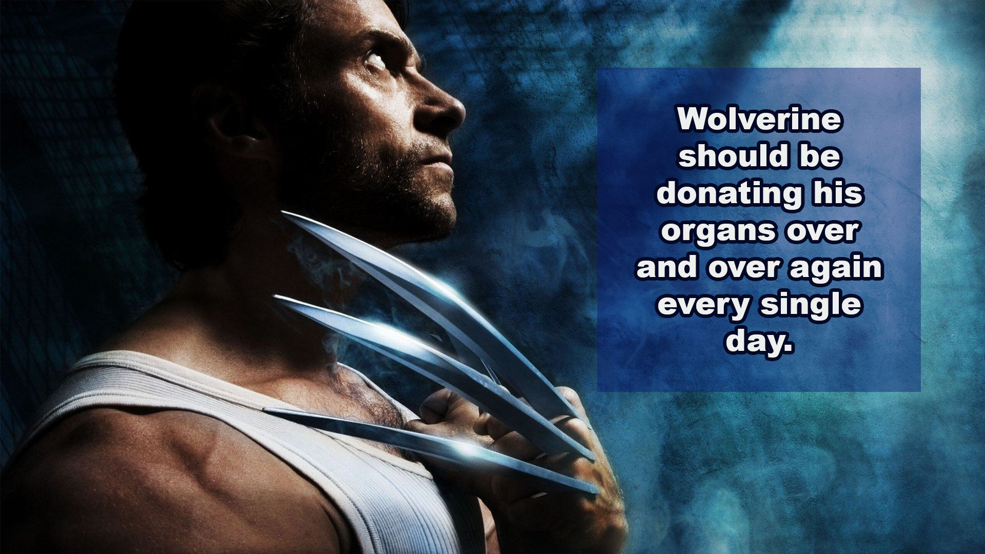 wolverine the movie - Wolverine should be donating his organs over and over again every single day.