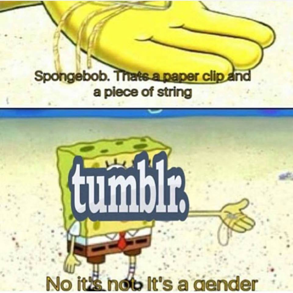 meme boiz - Spongebob. Thats a paper clip and a piece of string tumble No its not It's a gender