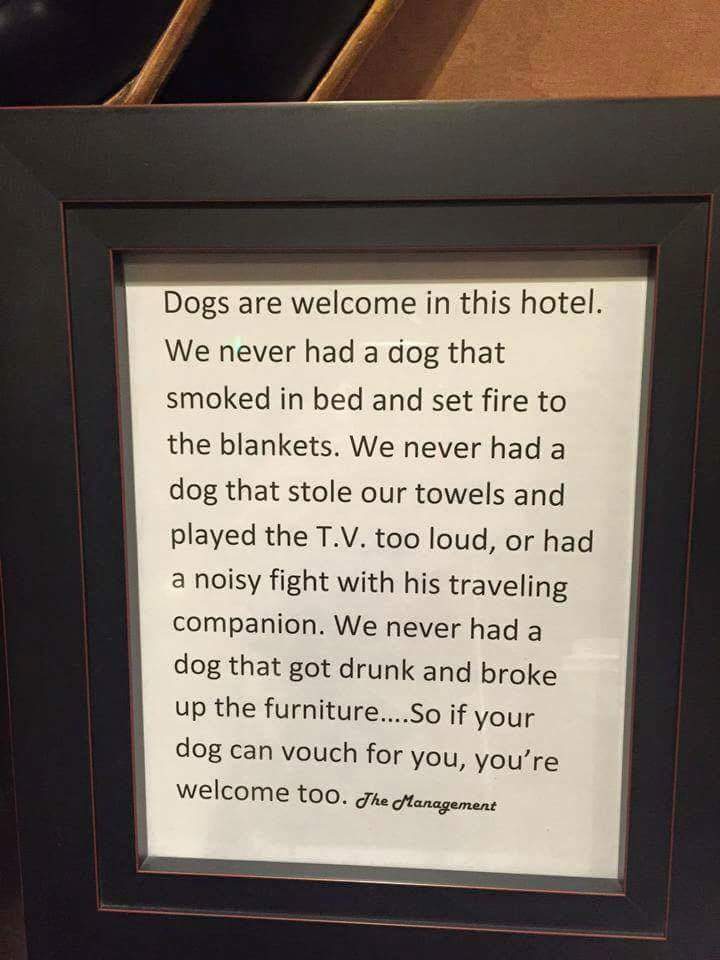 dog hotel policy - Dogs are welcome in this hotel. We never had a dog that smoked in bed and set fire to the blankets. We never had a dog that stole our towels and played the T.V. too loud, or had a noisy fight with his traveling companion. We never had a