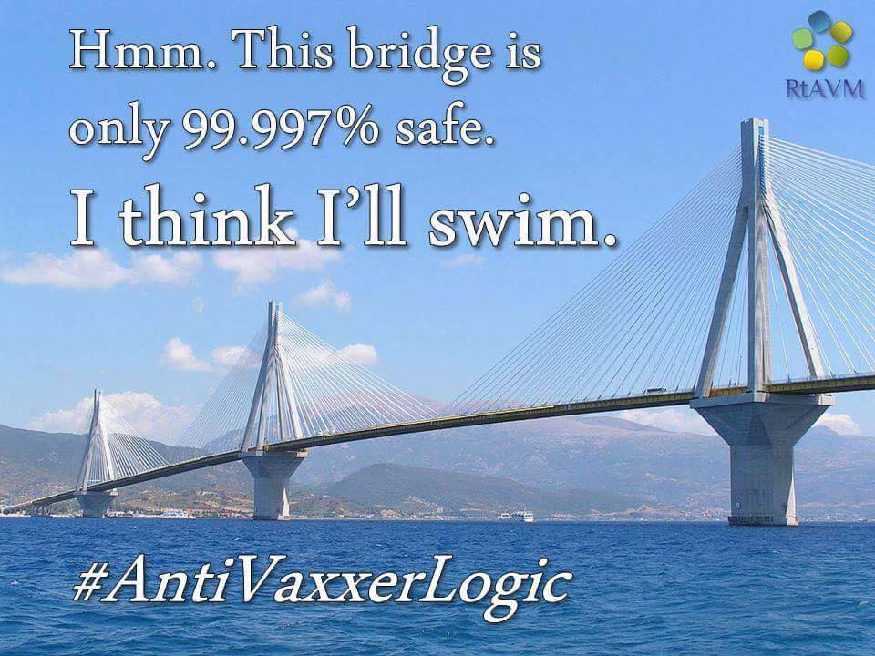 antivaxxer memes - RtAVM Hmm. This bridge is only 99.997% safe. I think I'll swim.