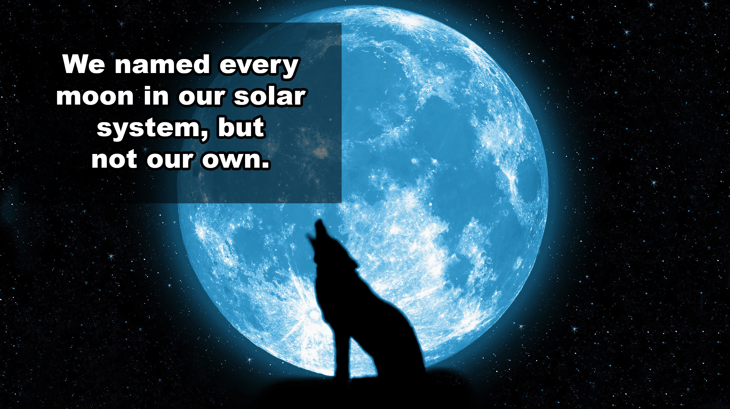 wolf howling at the moon hd - We named every moon in our solar system, but not our own.