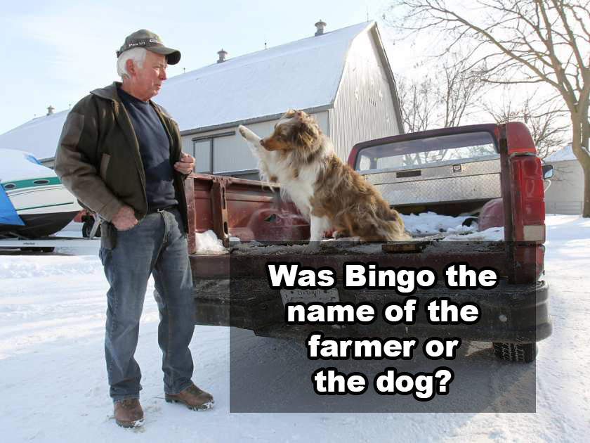 dog - On Was Bingo the name of the farmer or the dog?