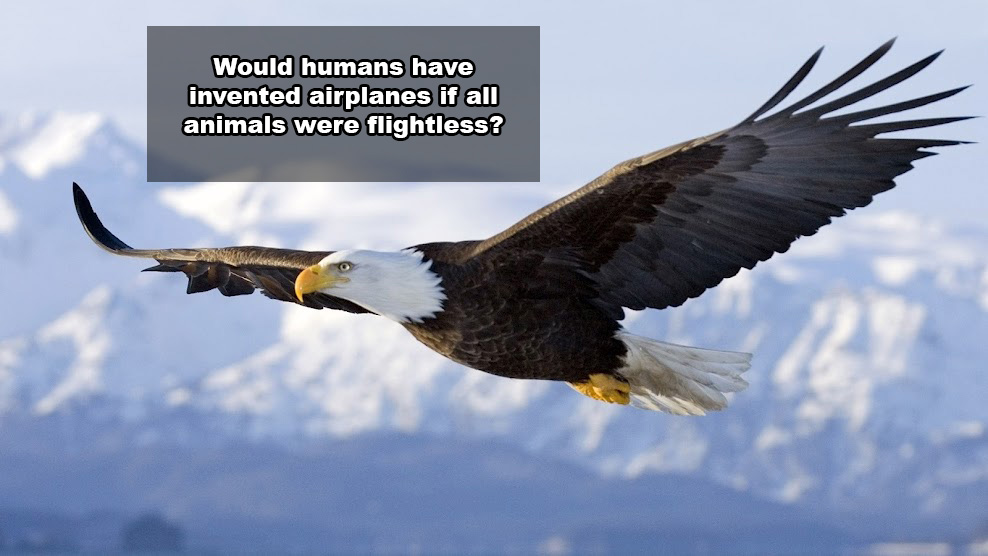 fly like an eagle - Would humans have invented airplanes if all animals were flightless?