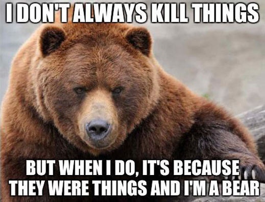 funny bear memes - I Don'T Always Kill Things But When I Do, It'S Because They Were Things And I'M A Bear