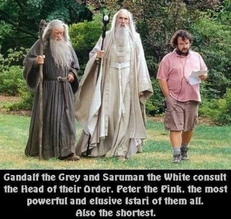 gandalf and saruman - Gandalf the Grey and Saruman the White consult the Head of their order, Peter the Pink, the most powerful and elusive Istari of them all. Also the shortest.