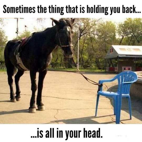 sometimes the thing that is holding you back is all in your head - Sometimes the thing that is holding you back. ...is all in your head.