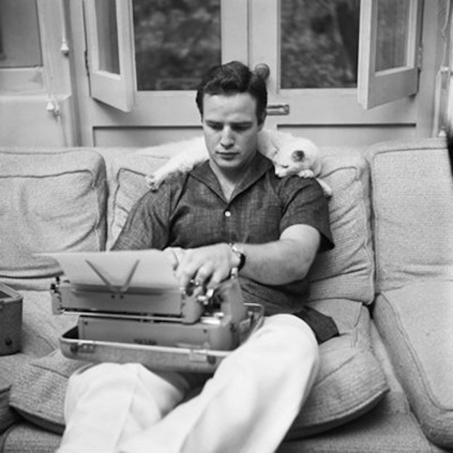 Marlon Brando typing with his cat, 1954.
