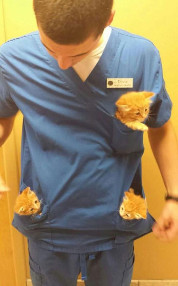perks of working at an animal hospital - Te
