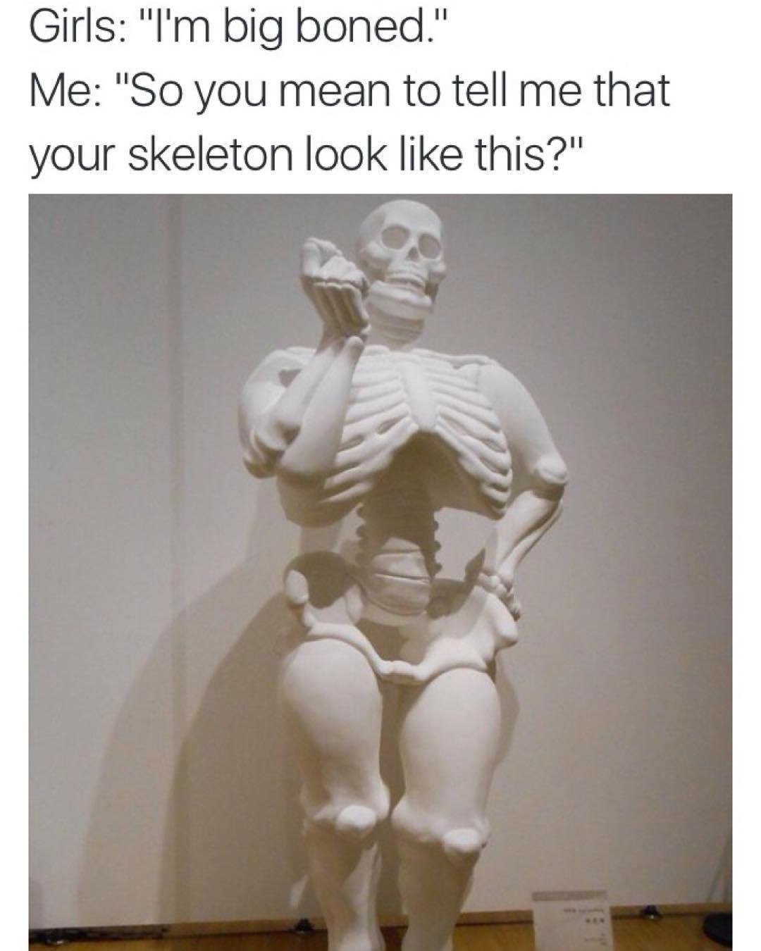 im big boned meme - Girls "I'm big boned." Me "So you mean to tell me that your skeleton look this?"