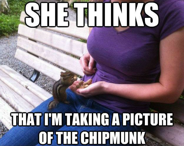Dank meme of a girl with nice boobs feeding a chipmunk with the caption joking that he is not taking a pic of the chipmunk.