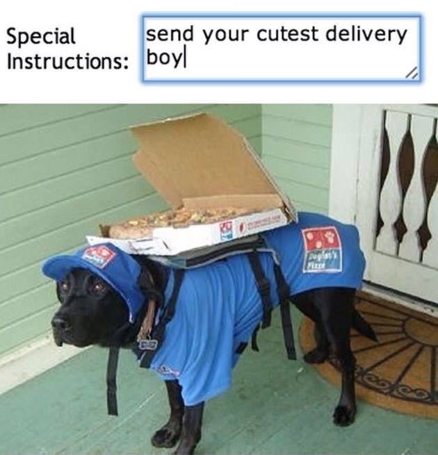 random pic send cutest delivery boy - Special send your cutest delivery Instructions boyl