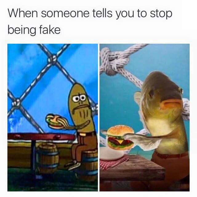random pic memes in hd - When someone tells you to stop being fake Oo