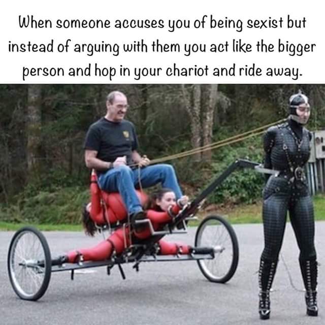 man riding woman chariot - When someone accuses you of being sexist but instead of arguing with them you act the bigger person and hop in your chariot and ride away.