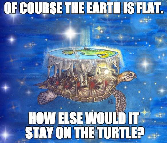 flat earth memes - Of Course The Earth Is Flat. How Else Would It Stay On The Turtle?