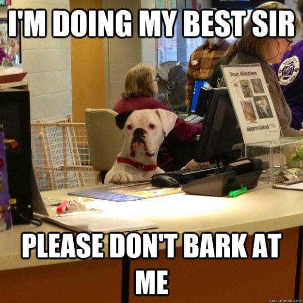 doing my best meme - I'M Doing My Best'Sir appreciated Please Don'T Bark At Me quickmeme.com