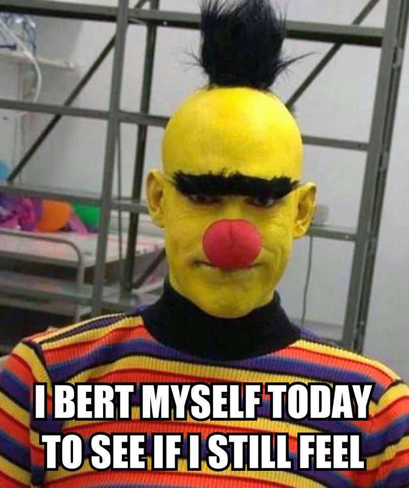 real bert and ernie - I Bert Myself Today To See If I Still Feel