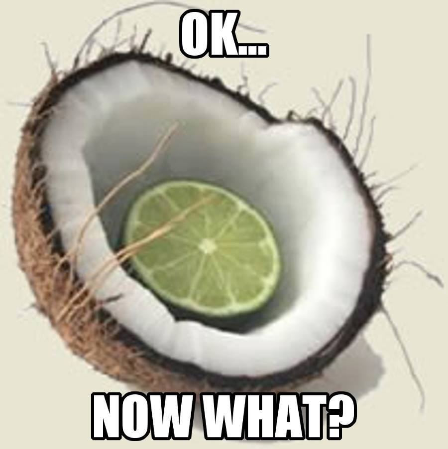 put a lime in the coconut - Ok. Now What?