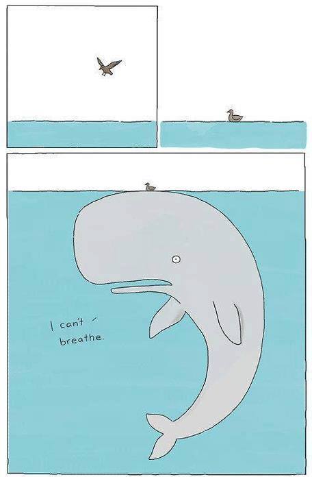 liz climo whale - I can't breathe