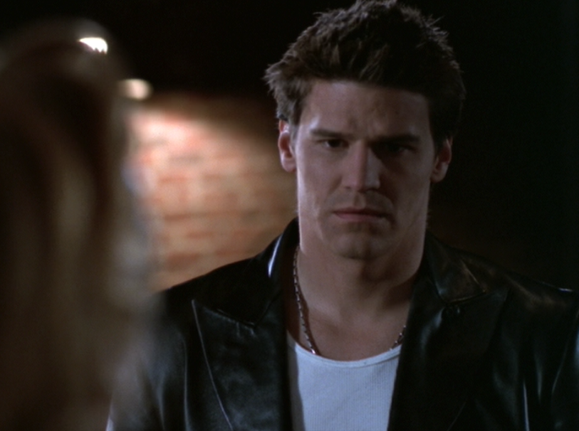 David Boreanaz was given the part of 'Angel' in Buffy after a kind dog walker suggested him for the role.