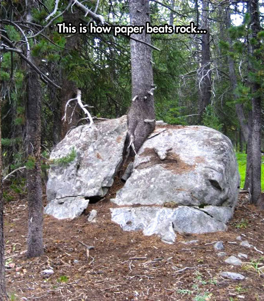paper beats rock - This is how paper beats rock...