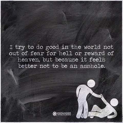 inspirational agnostic quotes - I try to do good in the world not out of fear for hell or reward of heaven, but because it feels better not to be an asshole. Expanded