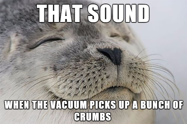 wednesday meme - That Sound When The Vacuum Picks Up A Bunch Of Crumbs