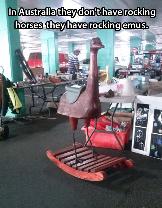 funny australia day - In Australia they don't have rocking horses they have rockingemus.