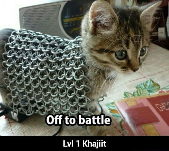 off to battle - Off to battle Lvl 1 Khajiit