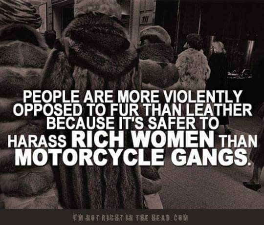 people are more opposed to fur than leather - People Are More Violently Opposed To Fur Than Leather Because It'S Safer To Harass Rich Women Than Motorcycle Gangs. Motren Tre Head.Com