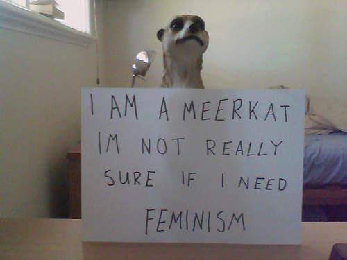 im a meerkat - Tam Ameerkat I Im Not Really Sure If Need Feminism