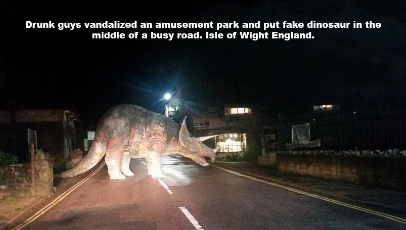dinosaur in real life - Drunk guys vandalized an amusement park and put fake dinosaur in the middle of a busy road. Isle of Wight England.