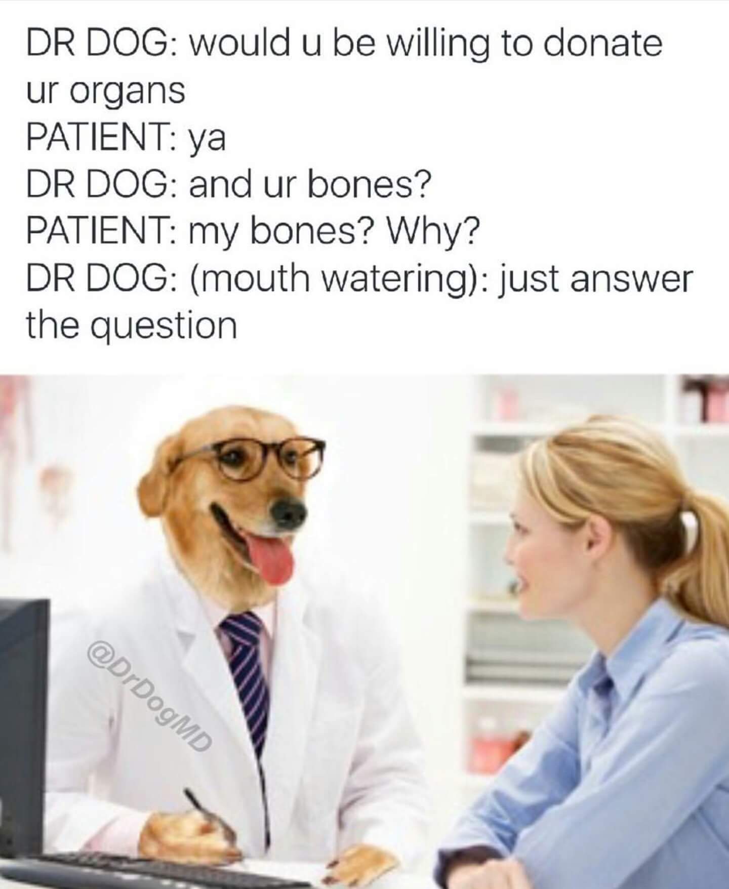 Dr Dog would u be willing to donate ur organs Patient ya Dr Dog and ur bones? Patient my bones? Why? Dr Dog mouth watering just answer the question