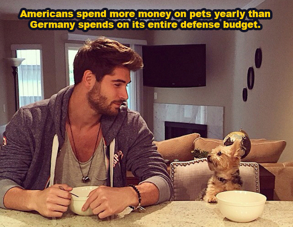 nick bateman - Americans spend more money on pets yearly than Germany spends on its entire defense budget.