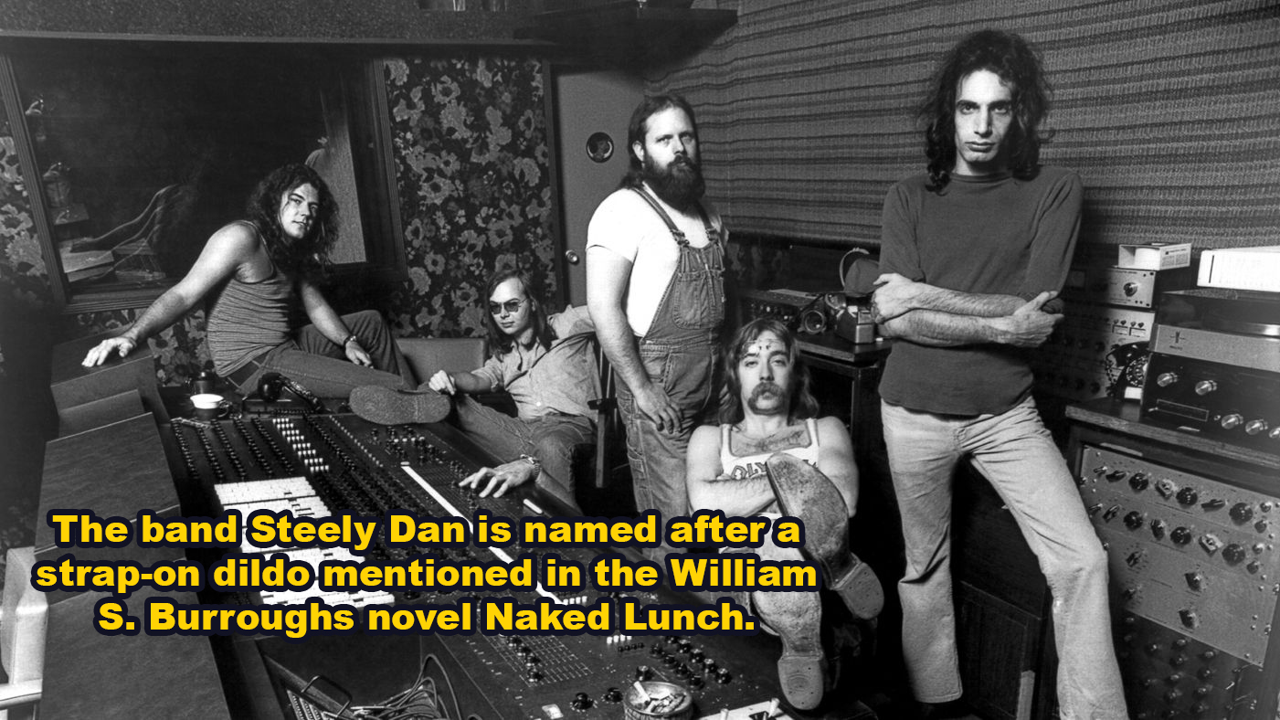 steely dan - . The band Steely Dan is named after a strapon dildo mentioned in the William S. Burroughs novel Naked Lunch.