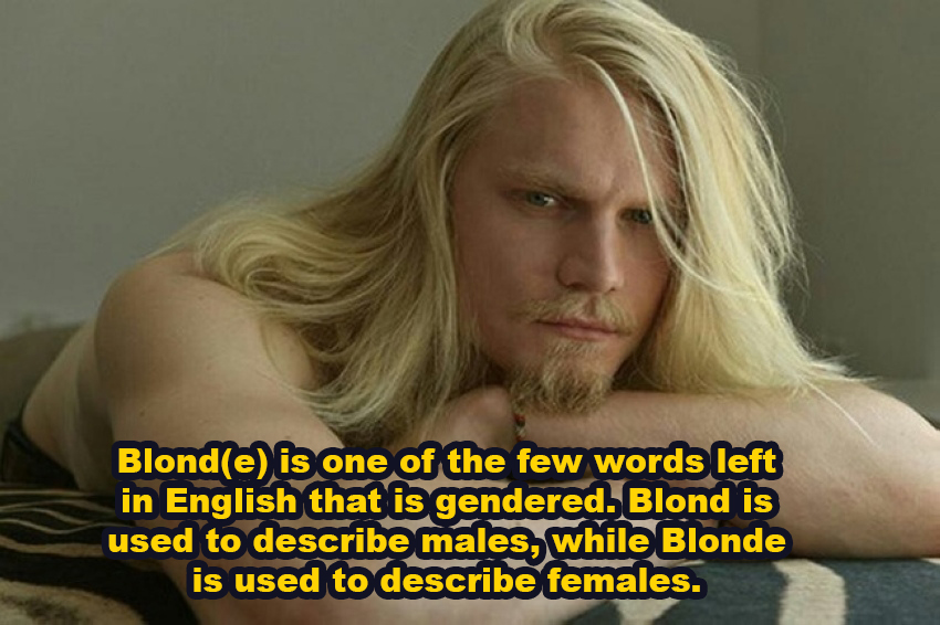 blonde long haired dude - Blonde is one of the few words left in English that is gendered. Blond is used to describe males, while Blonde is used to describe females.