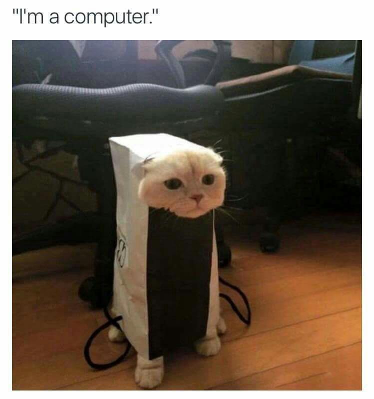 "I'm a computer."