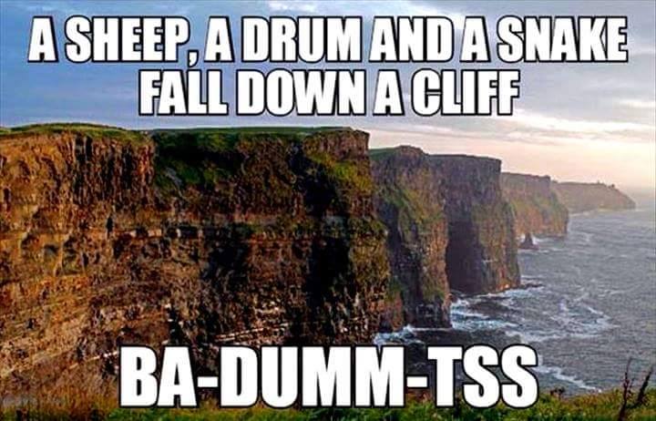 cliffs of moher - A Sheep, A Drum And Asnake Fall Down A Cliff BaDummTss